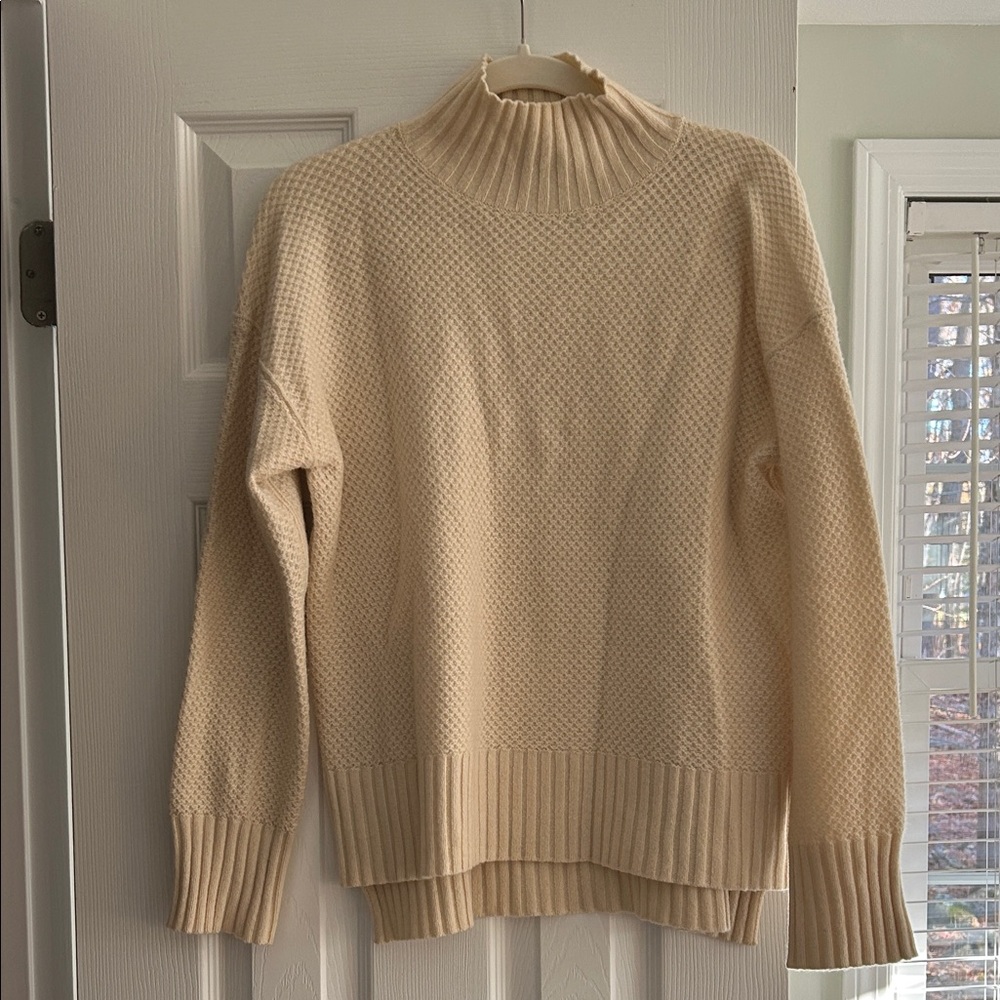 Everlane cashmere turtleneck sweater